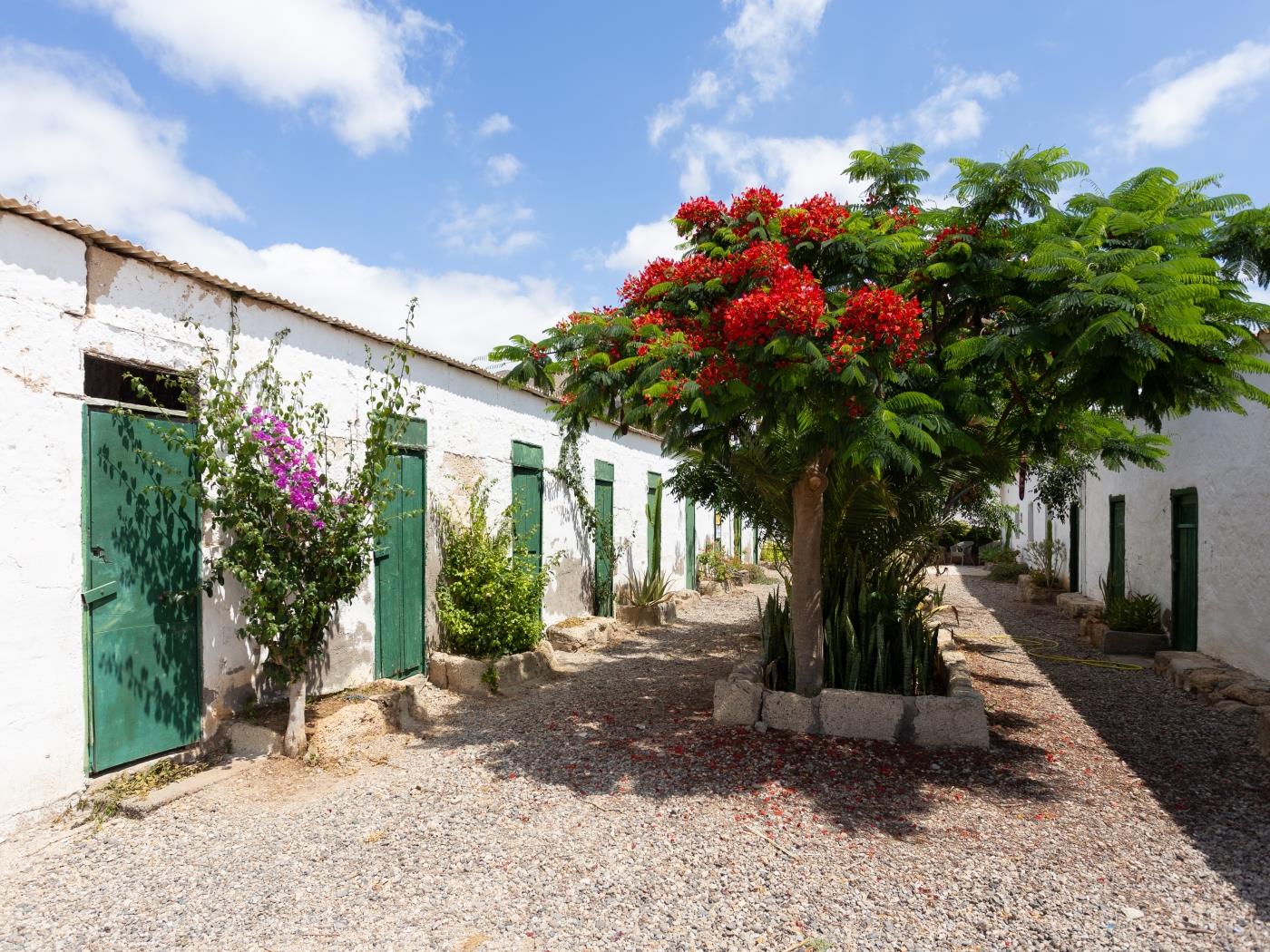 CASITA 1 - CASERÍO DE GUAZA in Arona