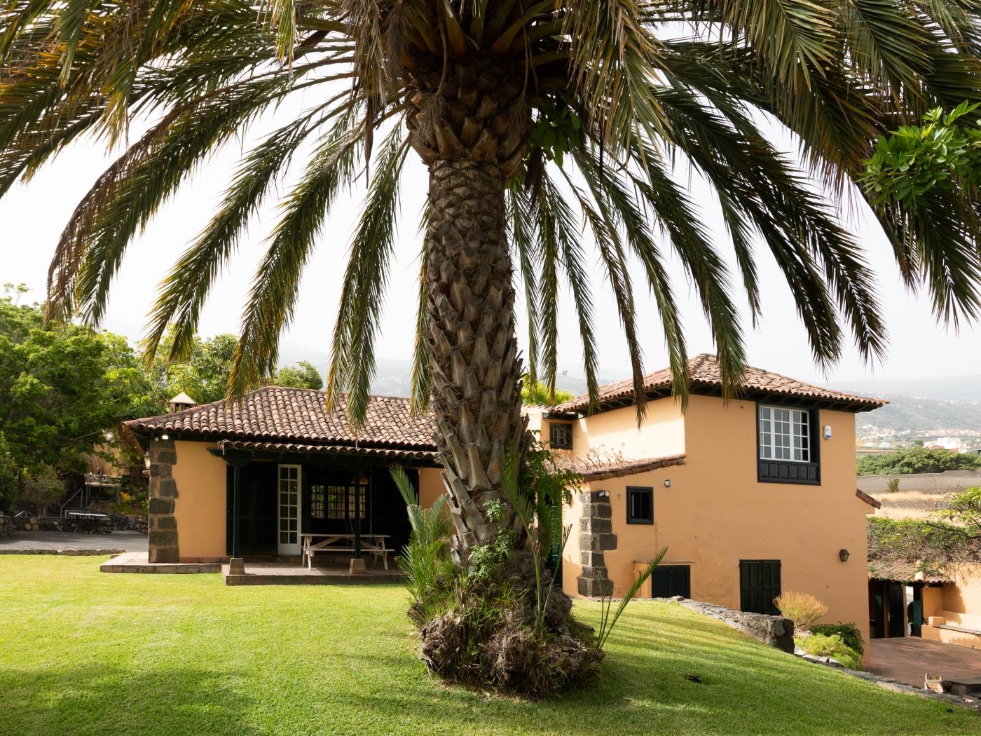 LA CASITA in La Orotava