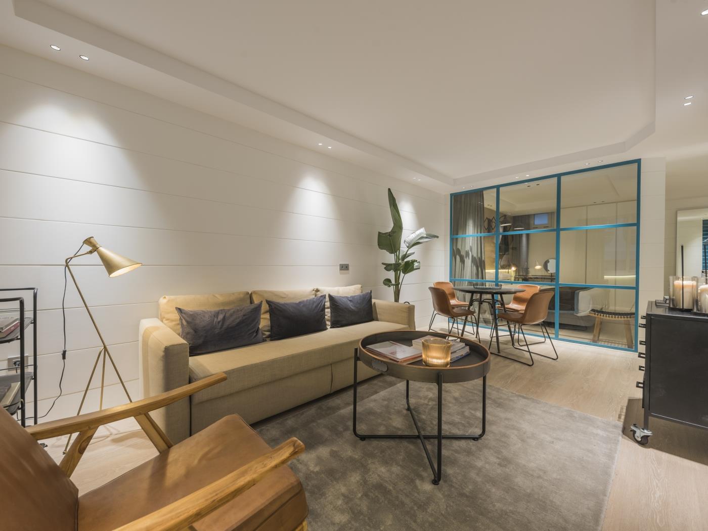 CHAYOFA SUITES - SUITE DELUXE in Santa Cruz de Tenerife